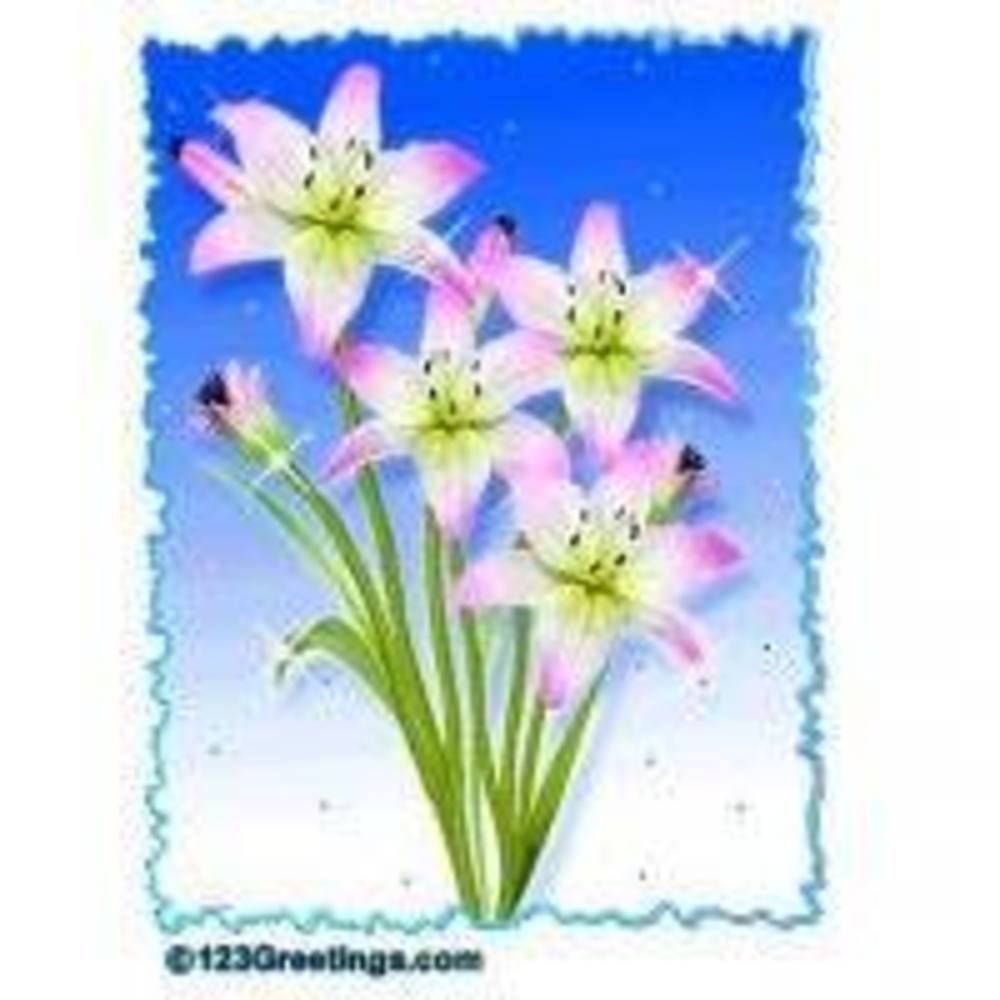 Meet your Posher, Cheryl